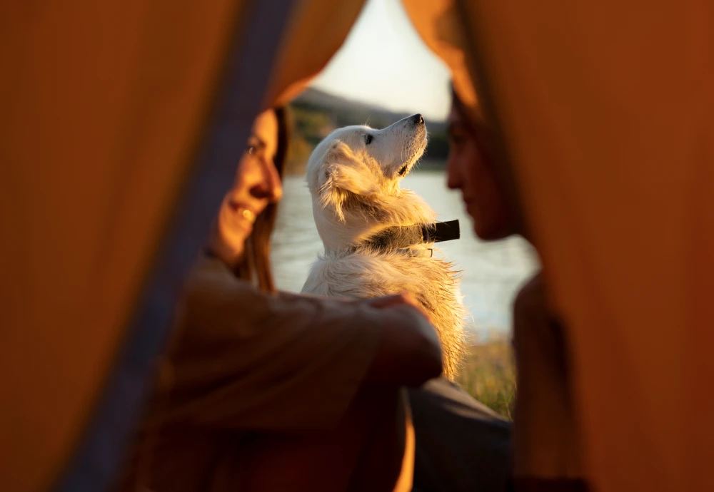 pyramid lake tent camping